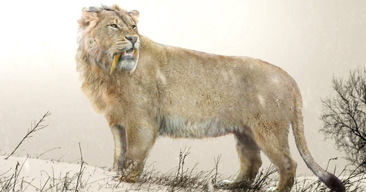 leones de las cavernas