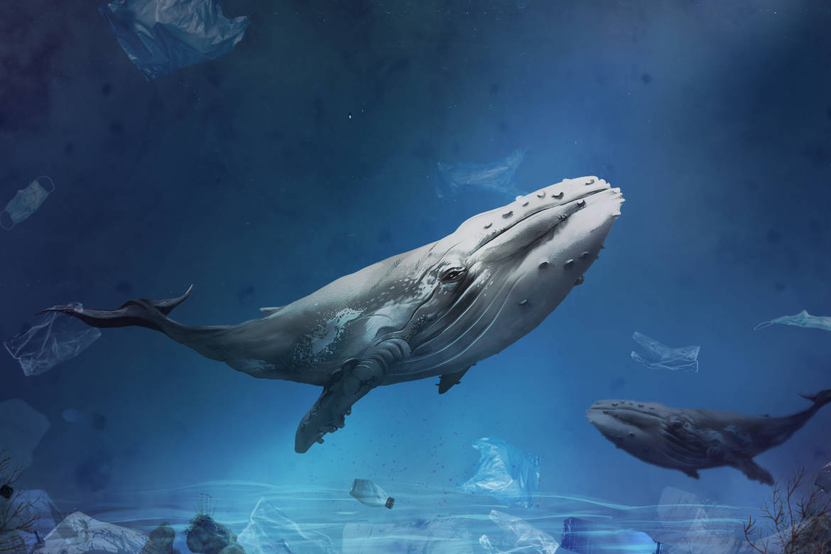 Ocean pollution campaign with whale swimming with plastic bags f